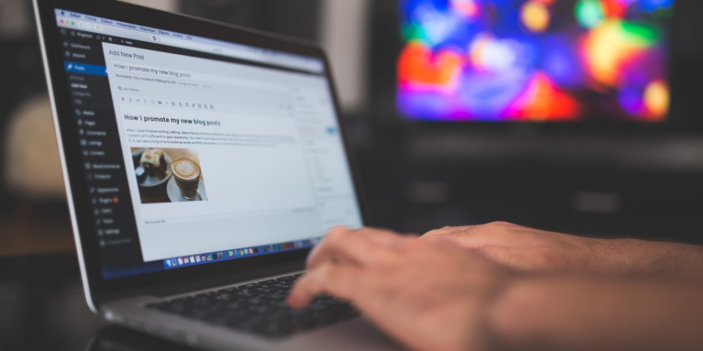eCommerce Store Setup Services eCommerce Store Setup Services
